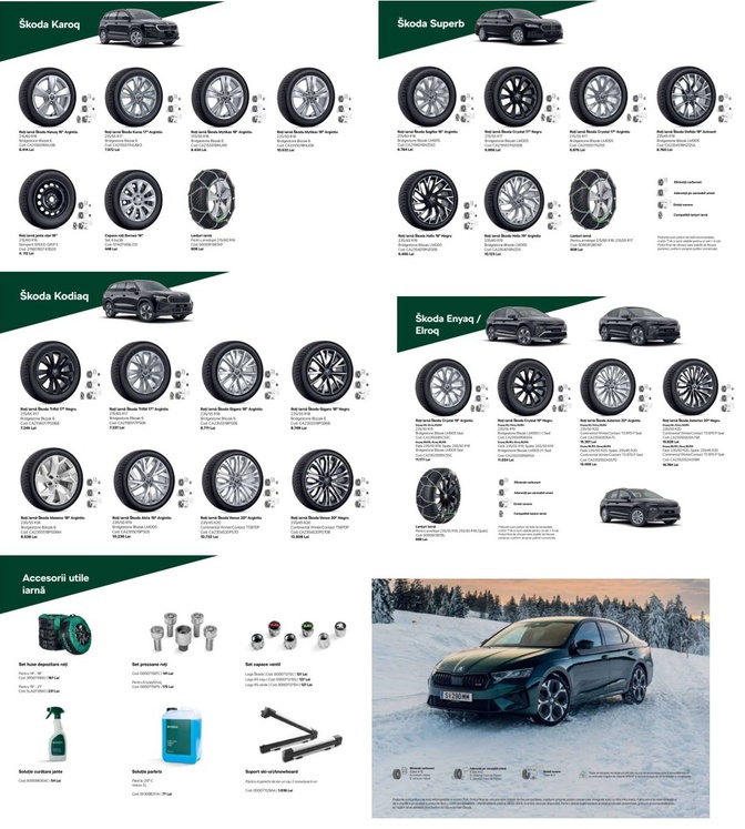 Skoda roti iarna2.jpg