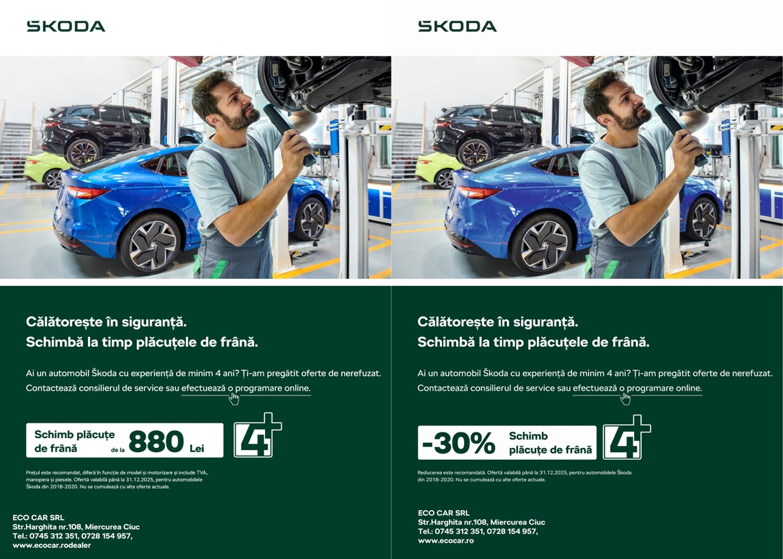 Segment 2 - Placa frana.jpg