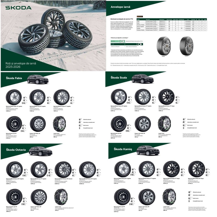 Skoda roti iarna1.jpg