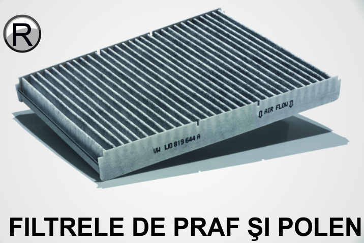 Filtru de praf si polen